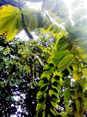 IMG_20120228_101941.jpg