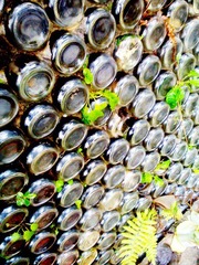 IMG_20120228_101715.jpg