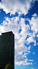 WP_20150519_17_16_27_Pro (2)