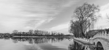DSC_2386-2
