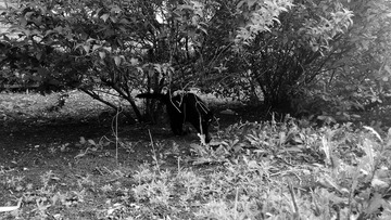 C360_2014-05-09-18-12-08-054