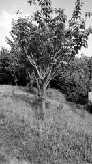 C360_2014-06-19-07-08-58-932_dh