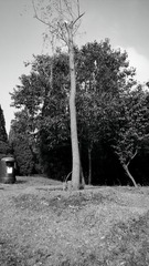 C360_2014-06-19-07-09-15-341_dh