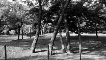 C360_2014-06-19-07-12-07-054_dh