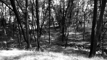 C360_2014-06-25-07-33-49-956_dh