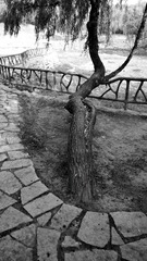 C360_2014-07-01-07-27-34-101_dh