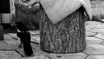 C360_2014-06-19-07-14-21-766_dh