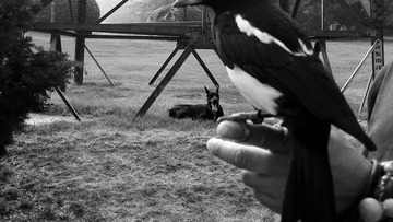C360_2014-06-17-07-59-38-761