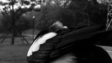 C360_2014-06-17-08-01-02-516