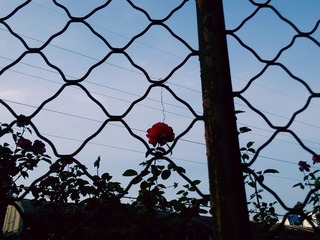 C360_2014-08-30-16-48-49-985