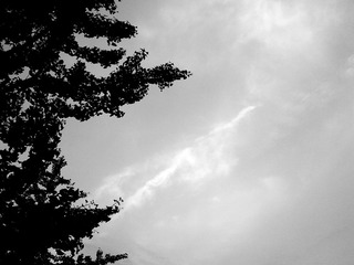 C360_2014-08-31-18-08-04-334