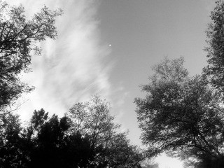 C360_2014-09-15-06-20-56-548