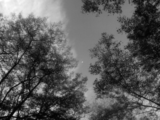 C360_2014-09-15-06-21-17-680