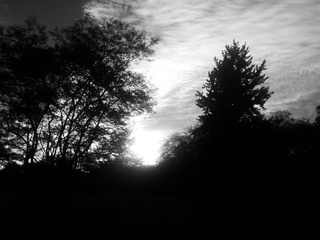 C360_2014-09-15-06-27-51-035