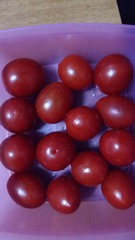 tmp_f2b94da939f37fac3406b23c6456898e6cdf4598fd8be3d2