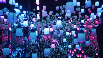 E43E01EA-F20C-46EF-91E8-97A3DEB576D6/L0/001