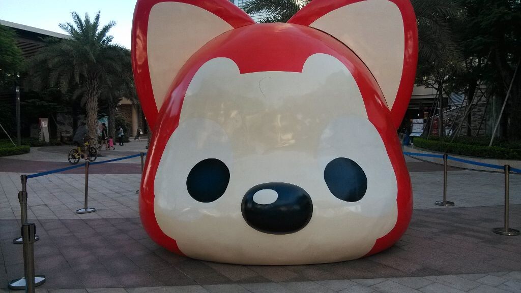 阿里