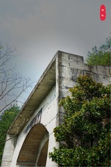 DSC0w1221