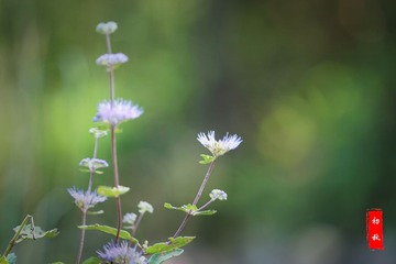 DSC012w39