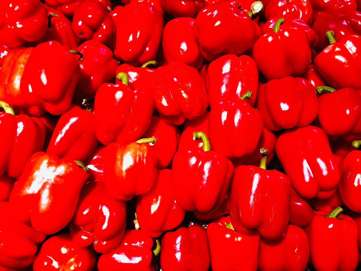 大红椒