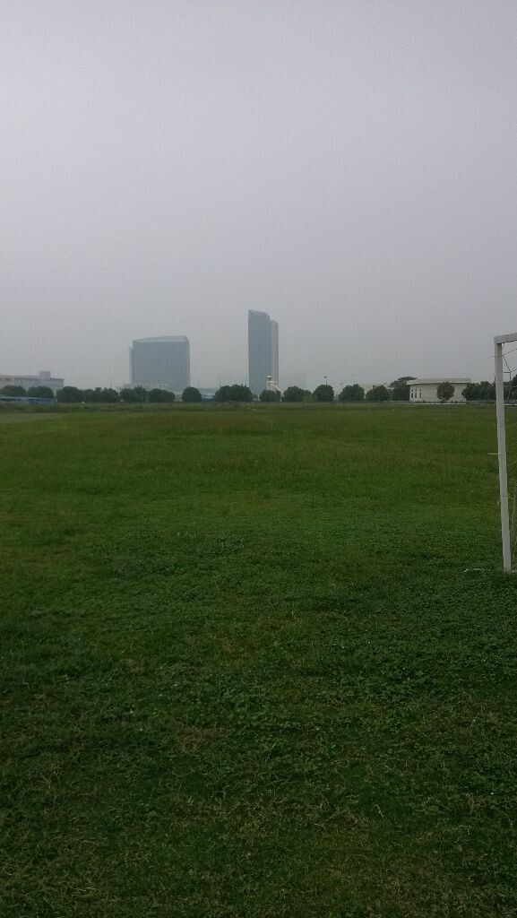 心中绿色的梦