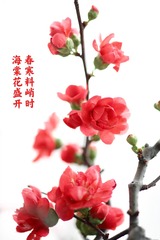 7C150E88-40D6-404B-88B0-D8974E9802AC/L0/001
