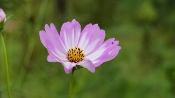 100_1158