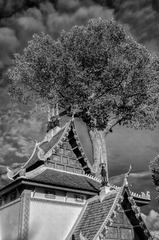 EPSN1112-编辑-2