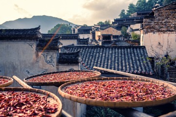 L1000168-编辑