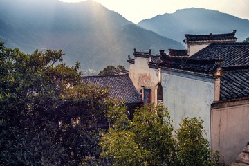 L1000162-编辑