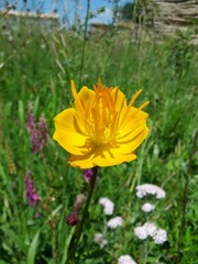 IMG_20120716_112439