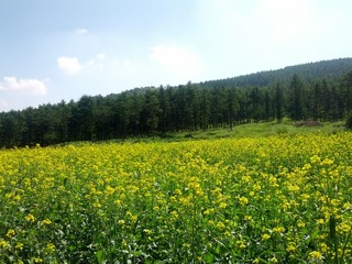 IMG_20120717_092458