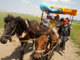 IMG_20120717_123811