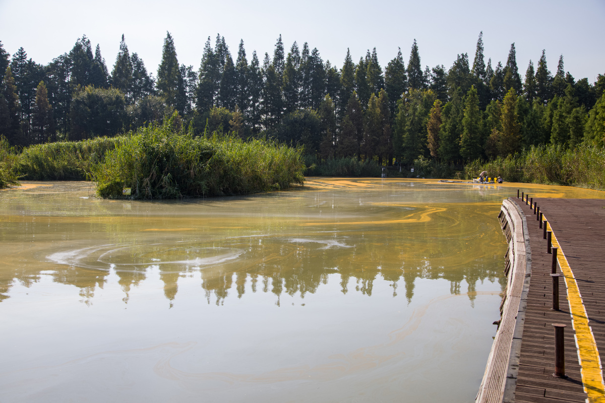 水中画南京市高淳区固城湖水漫城