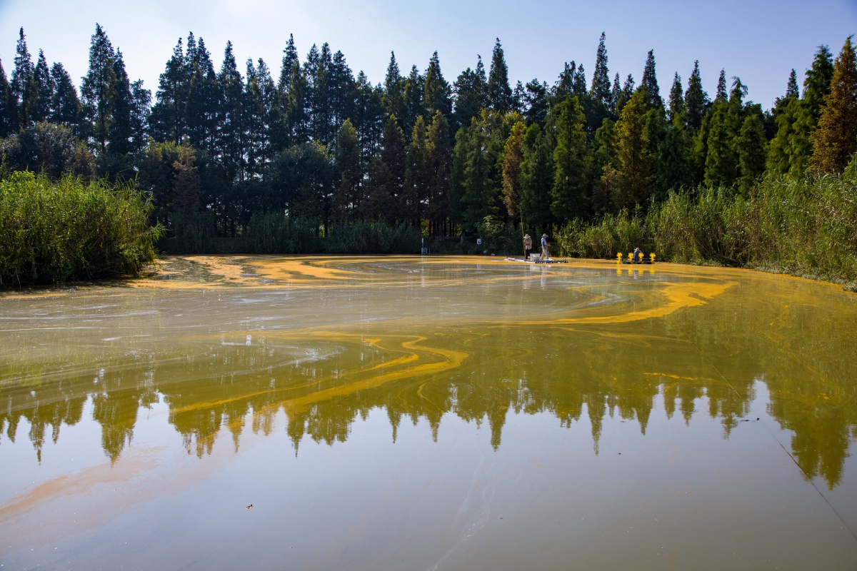 水中画 南京市高淳区固城湖水慢城