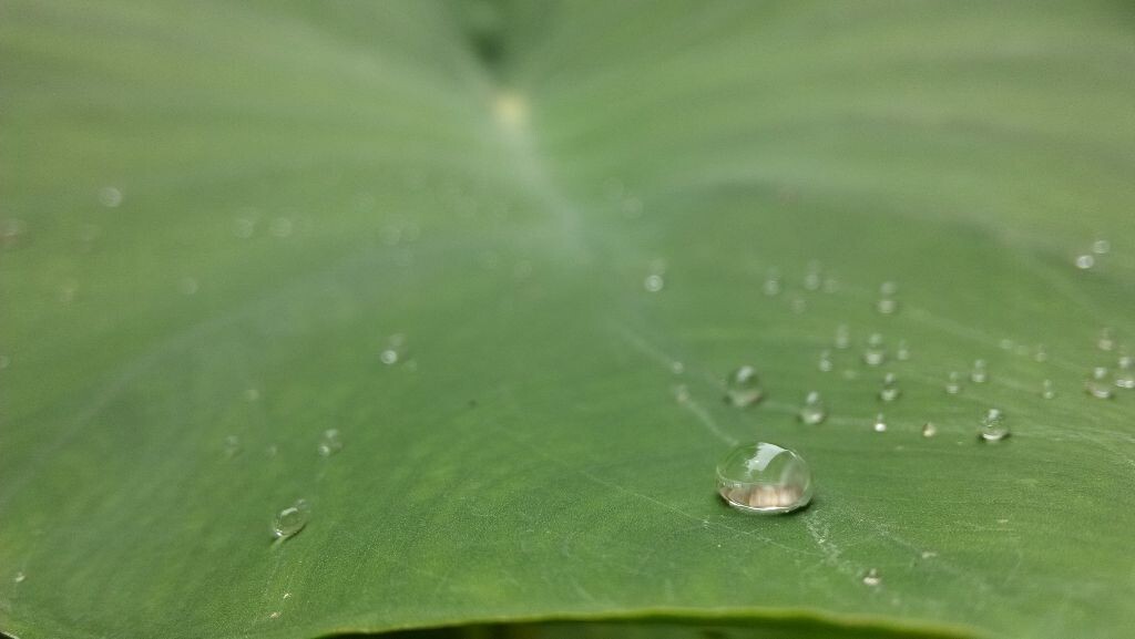 静物——水滴3