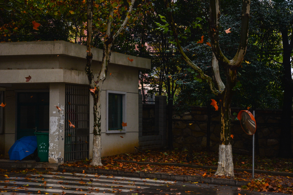 开不完的根号二