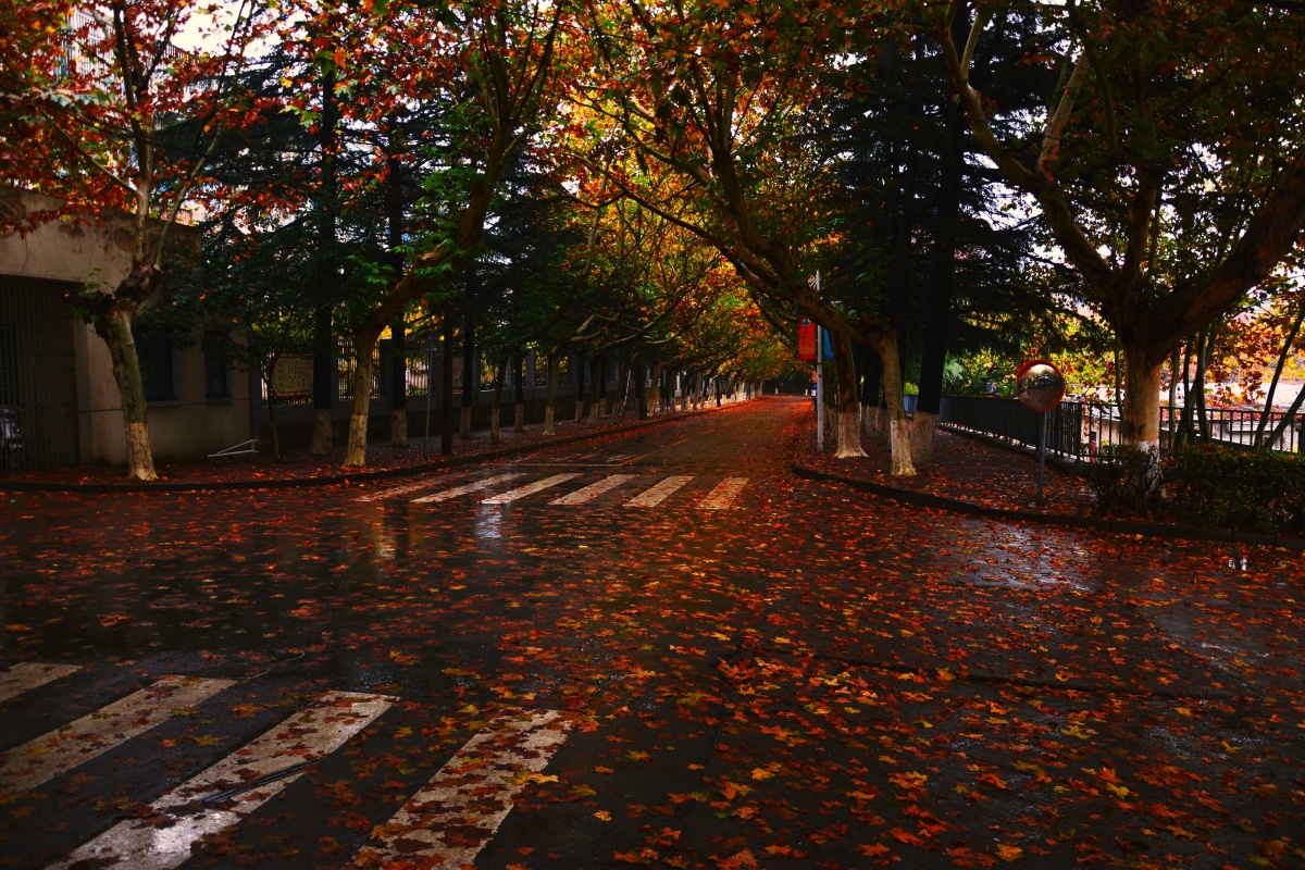 开不完的根号二