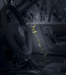 1209786