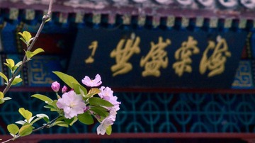 A75BF11F-26D5-4373-A825-5F3AD39953E3/L0/001