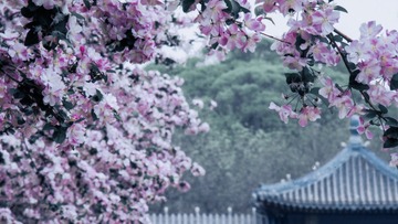 A73899ED-5CD0-44EF-91F4-D376A6815E34/L0/001