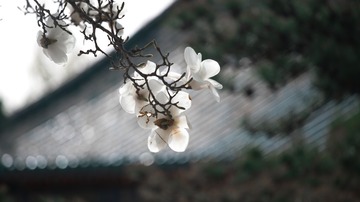 79CE78F7-F5C3-42BB-A55F-F50741ED9AD1/L0/001