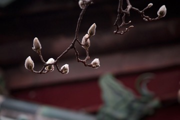 52C597DD-7E0A-4975-8093-56ADD3B35007/L0/001