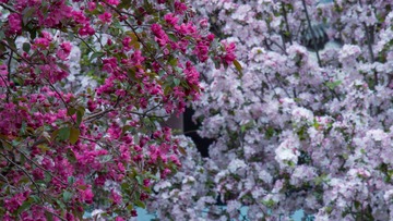A6CF46D2-D011-4747-ACDF-AB2A566F0F78/L0/001