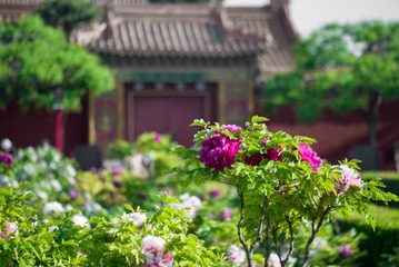 11779951-5D9A-438D-B6F6-FF7D3E9166E2/L0/001