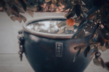 C77C7F7C-4305-42BA-9747-DA7226DDCBAE/L0/001