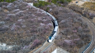 CBC72022-AEA6-4165-B613-C08618335B1C/L0/001