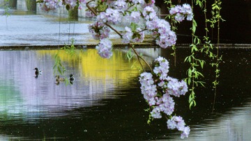 1E8964F5-EBB3-41C3-8DEB-AE54E48CB823/L0/001