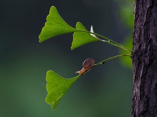 IMGP1546__