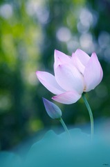 IMGP1583_